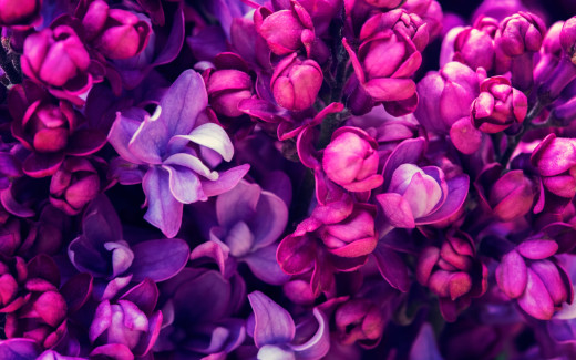 1281632 (a): :2880x1800